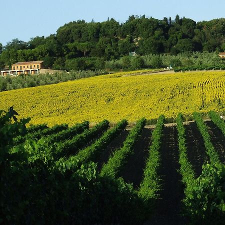 Bio Agriturismo Il Torrione Saturnia Extérieur photo