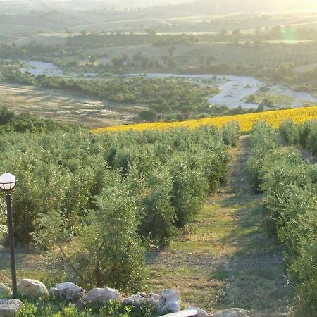 Bio Agriturismo Il Torrione Saturnia Extérieur photo