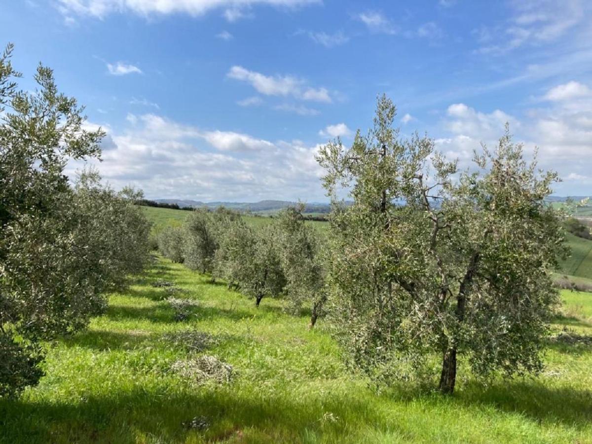 Bio Agriturismo Il Torrione Saturnia Extérieur photo