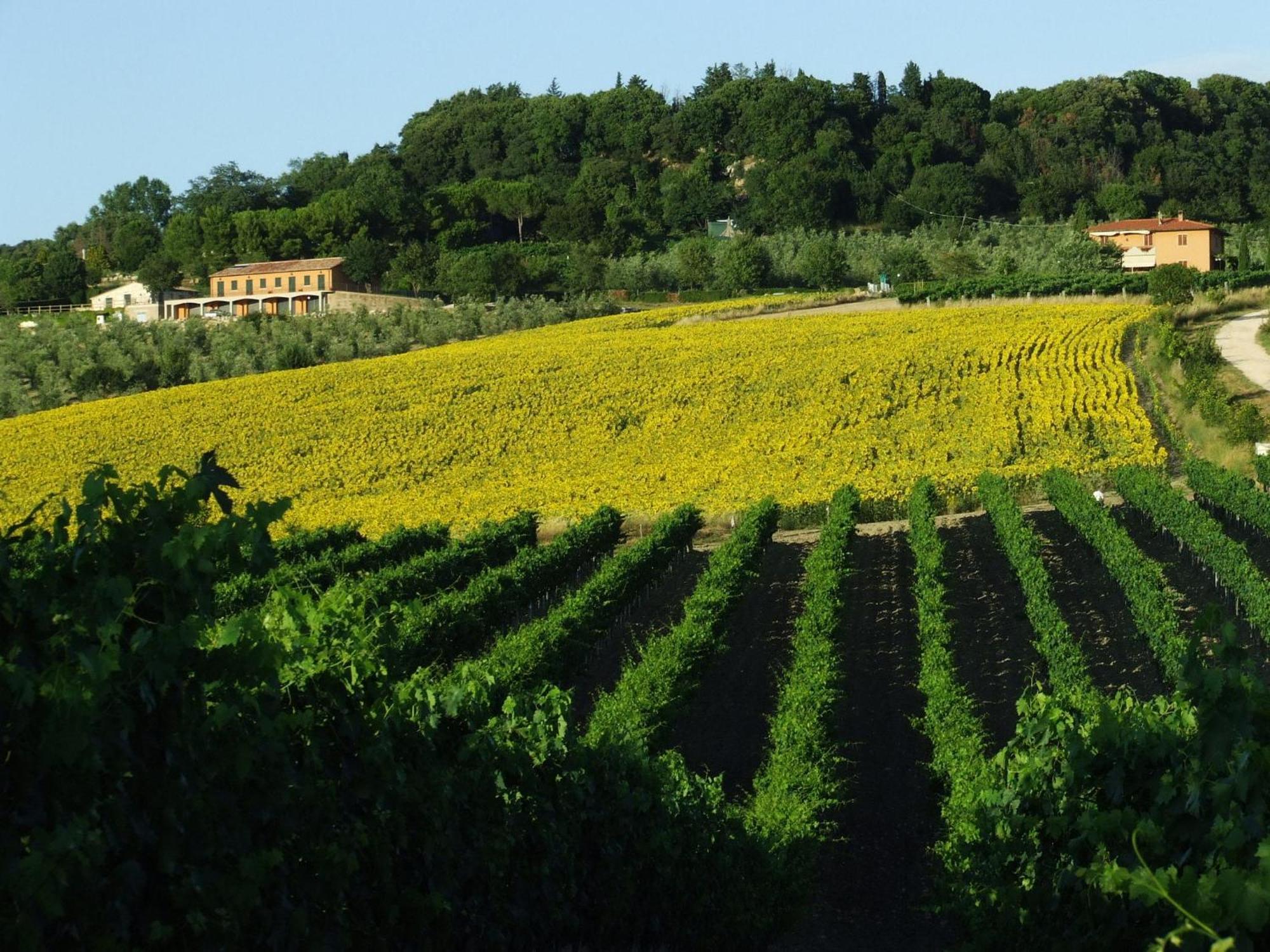 Bio Agriturismo Il Torrione Saturnia Extérieur photo