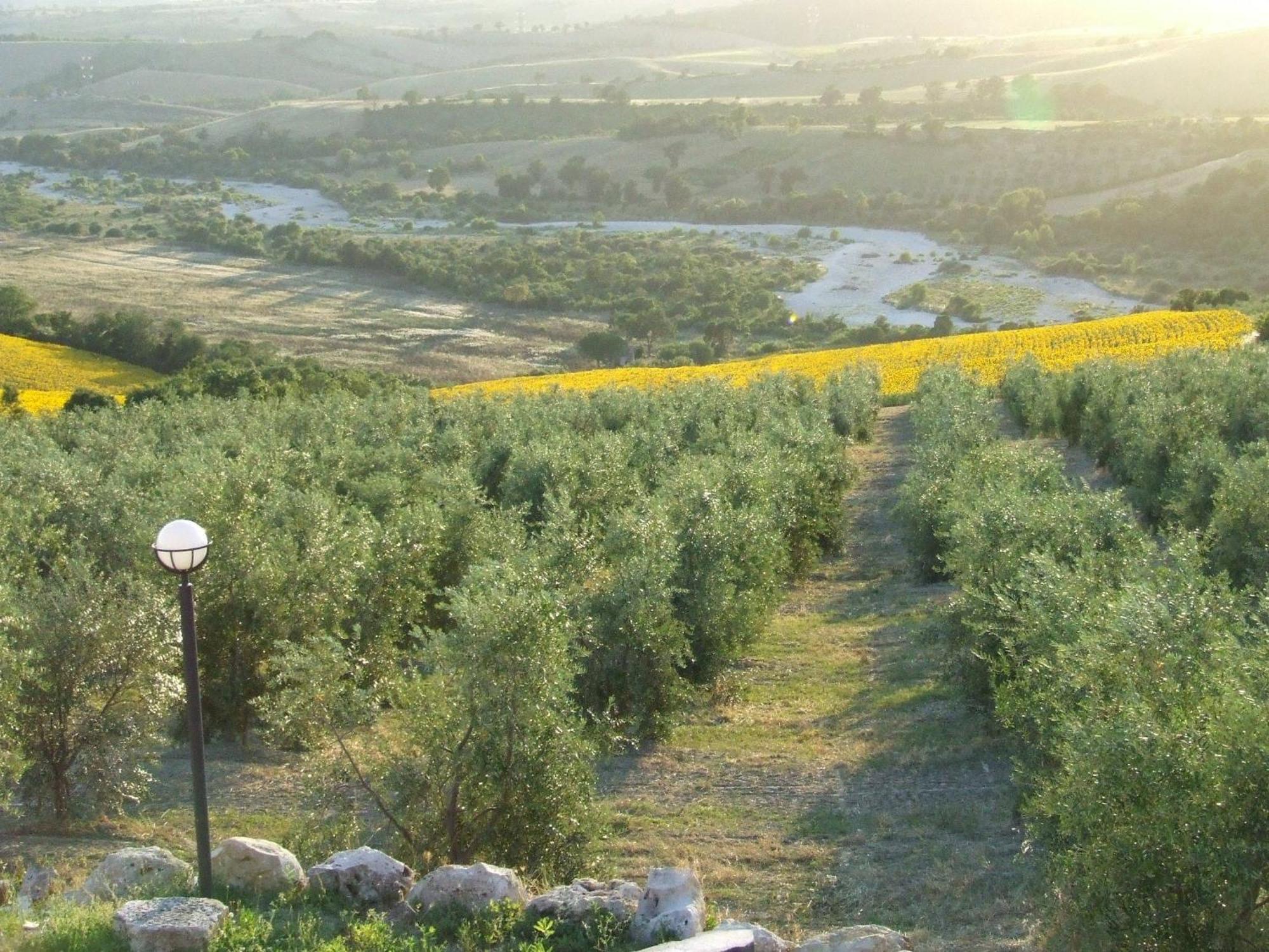 Bio Agriturismo Il Torrione Saturnia Extérieur photo