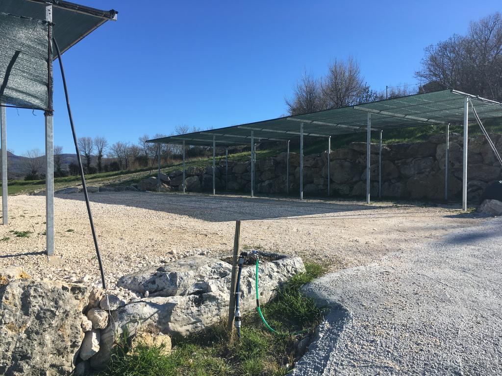 Bio Agriturismo Il Torrione Saturnia Extérieur photo